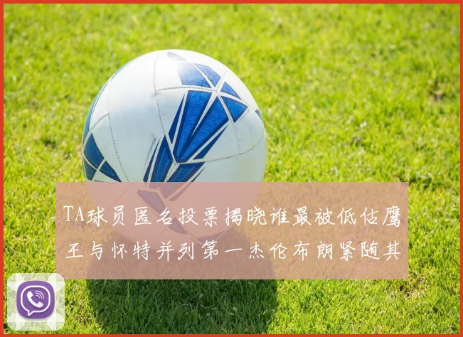 TA球员匿名投票揭晓谁最被低估鹰王与怀特并列第一杰伦布朗紧随其后